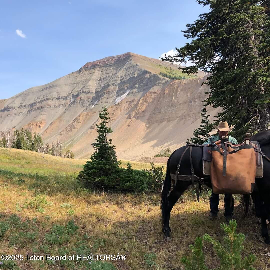 Daniel, Wyoming 83115, United States, 6 Bedrooms Bedrooms, ,2 BathroomsBathrooms,Residential,Active,16544