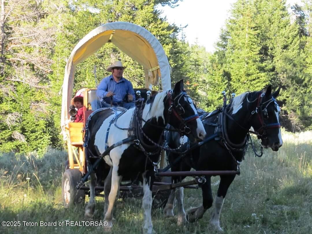 Daniel, Wyoming 83115, United States, 6 Bedrooms Bedrooms, ,2 BathroomsBathrooms,Residential,Active,16544