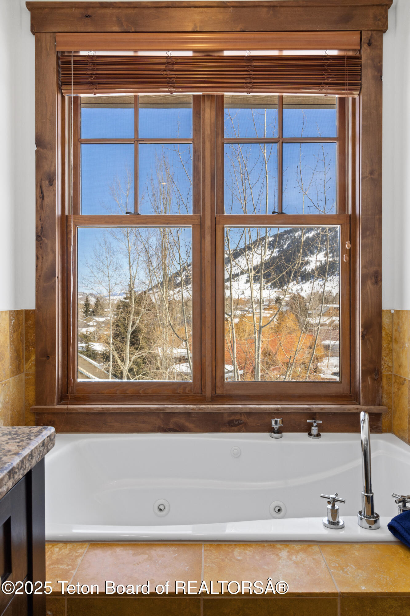 Jackson, Wyoming 83001, United States, 4 Bedrooms Bedrooms, ,4 BathroomsBathrooms,Residential,Active,123571