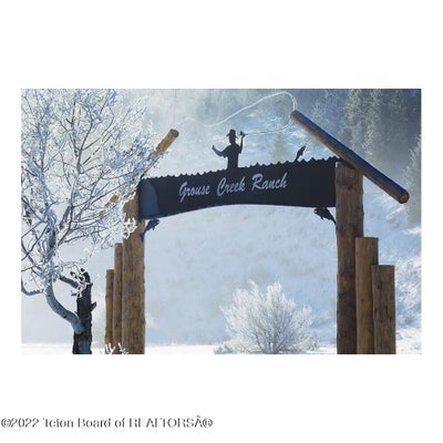 65 FREEDOM LN, TIN CUP TOWNSHIP, ID 83120 - Image 2a0982f349a0ad4eaa05047741e28e0e/285507737