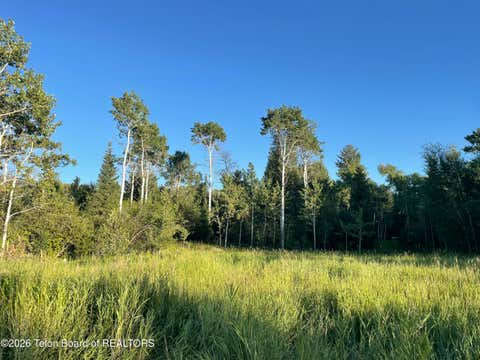 Photo of 390 S STATE LINE Road, Alta, WY 83414 (MLS # 26-1367)
