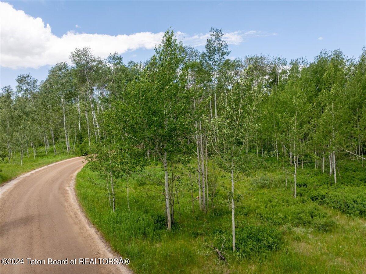 Tetonia, Idaho 83452, United States, ,Land,Active,53318