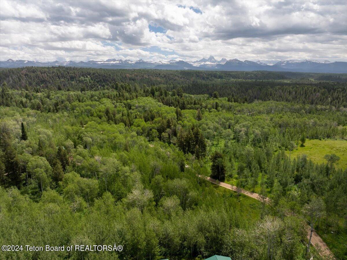 Tetonia, Idaho 83452, United States, ,Land,Active,53318