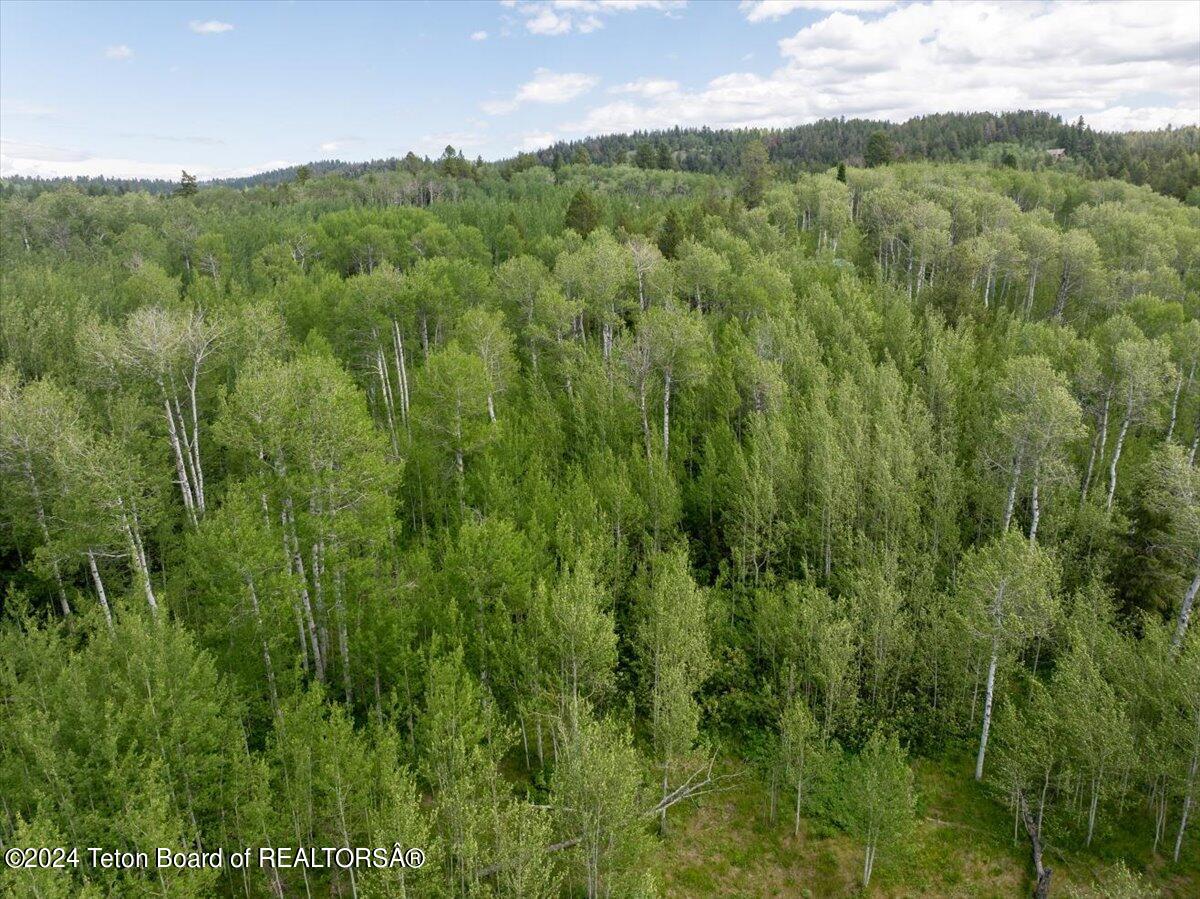 Tetonia, Idaho 83452, United States, ,Land,Active,53318