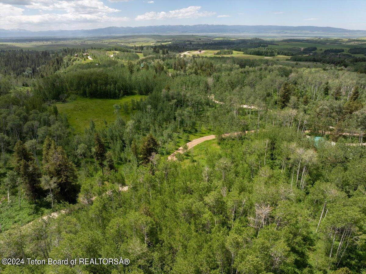 Tetonia, Idaho 83452, United States, ,Land,Active,53318