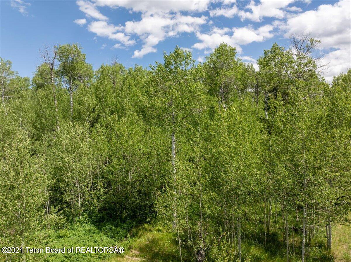 Tetonia, Idaho 83452, United States, ,Land,Active,53318