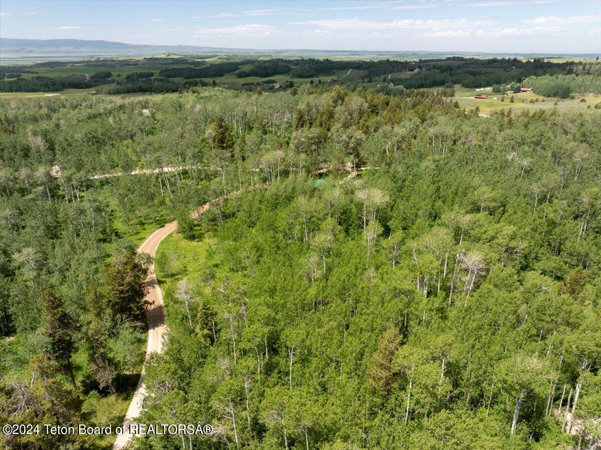 Tetonia, Idaho 83452, United States, ,Land,Active,53318