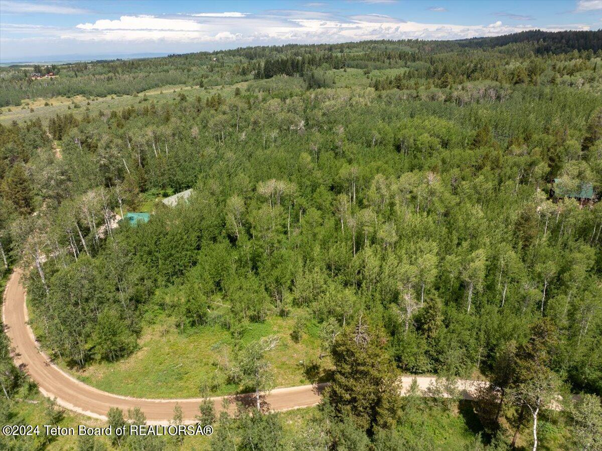 Tetonia, Idaho 83452, United States, ,Land,Active,53318