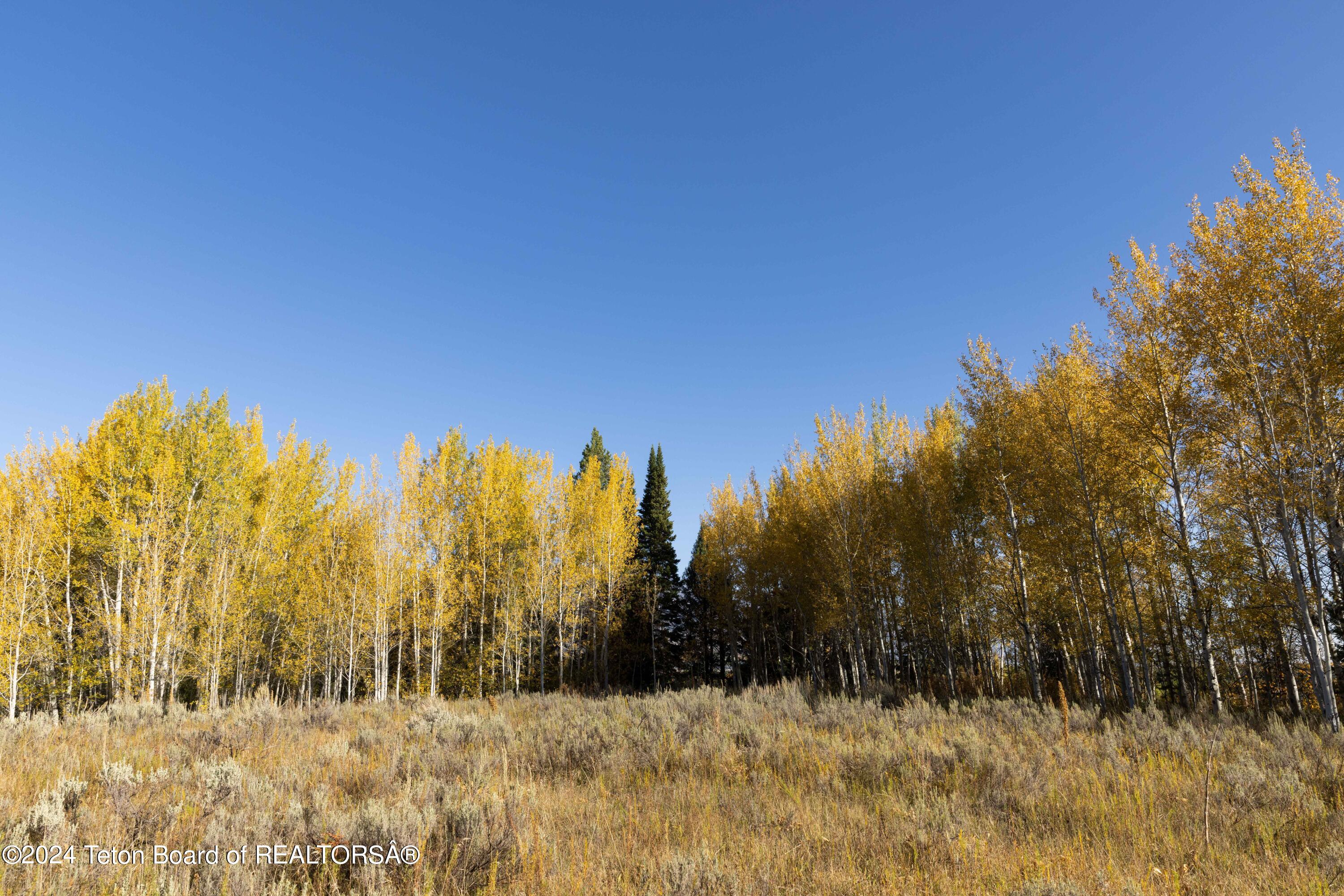 Wilson, Wyoming 83014, United States, ,Land,Active,40202