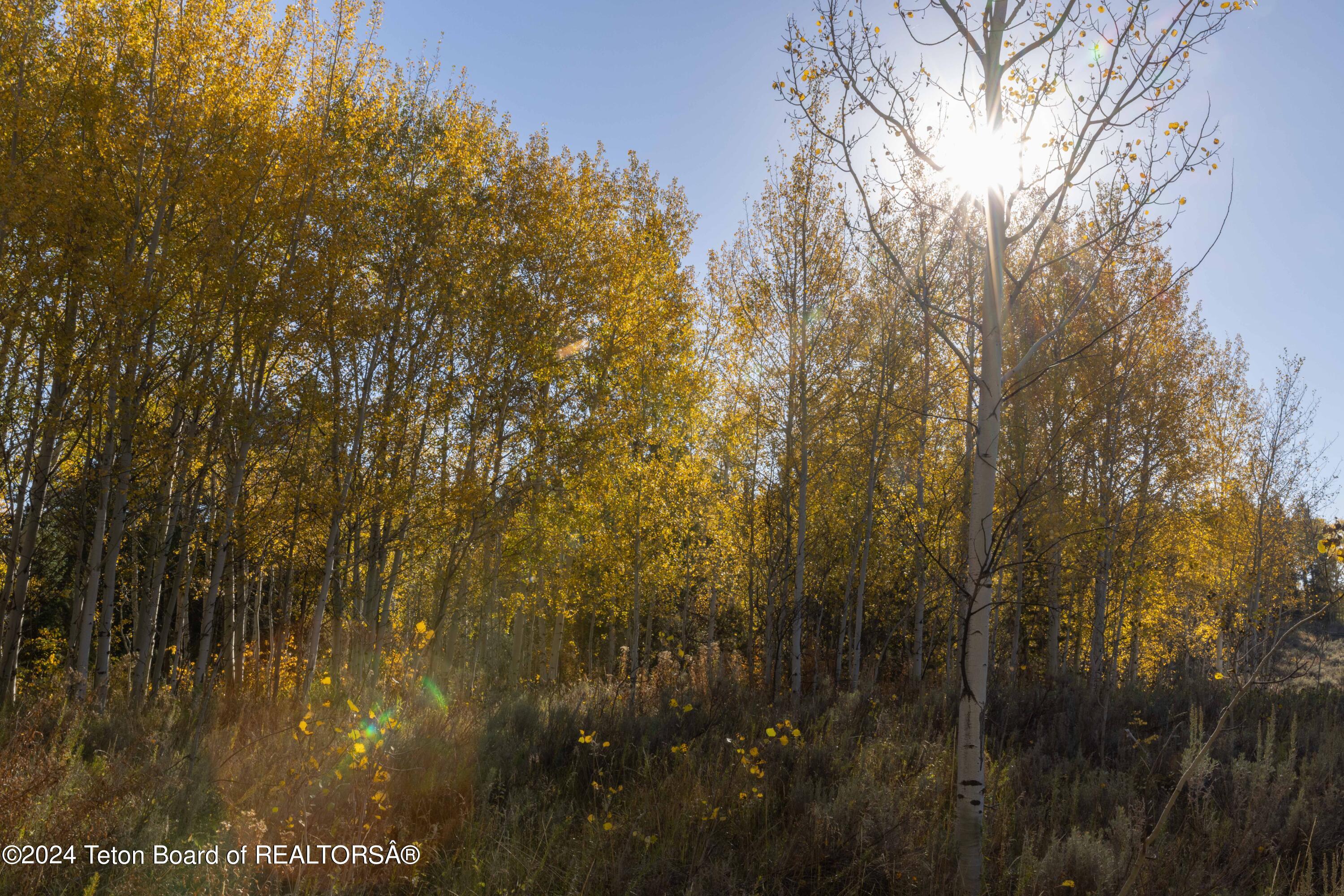 Wilson, Wyoming 83014, United States, ,Land,Active,40202