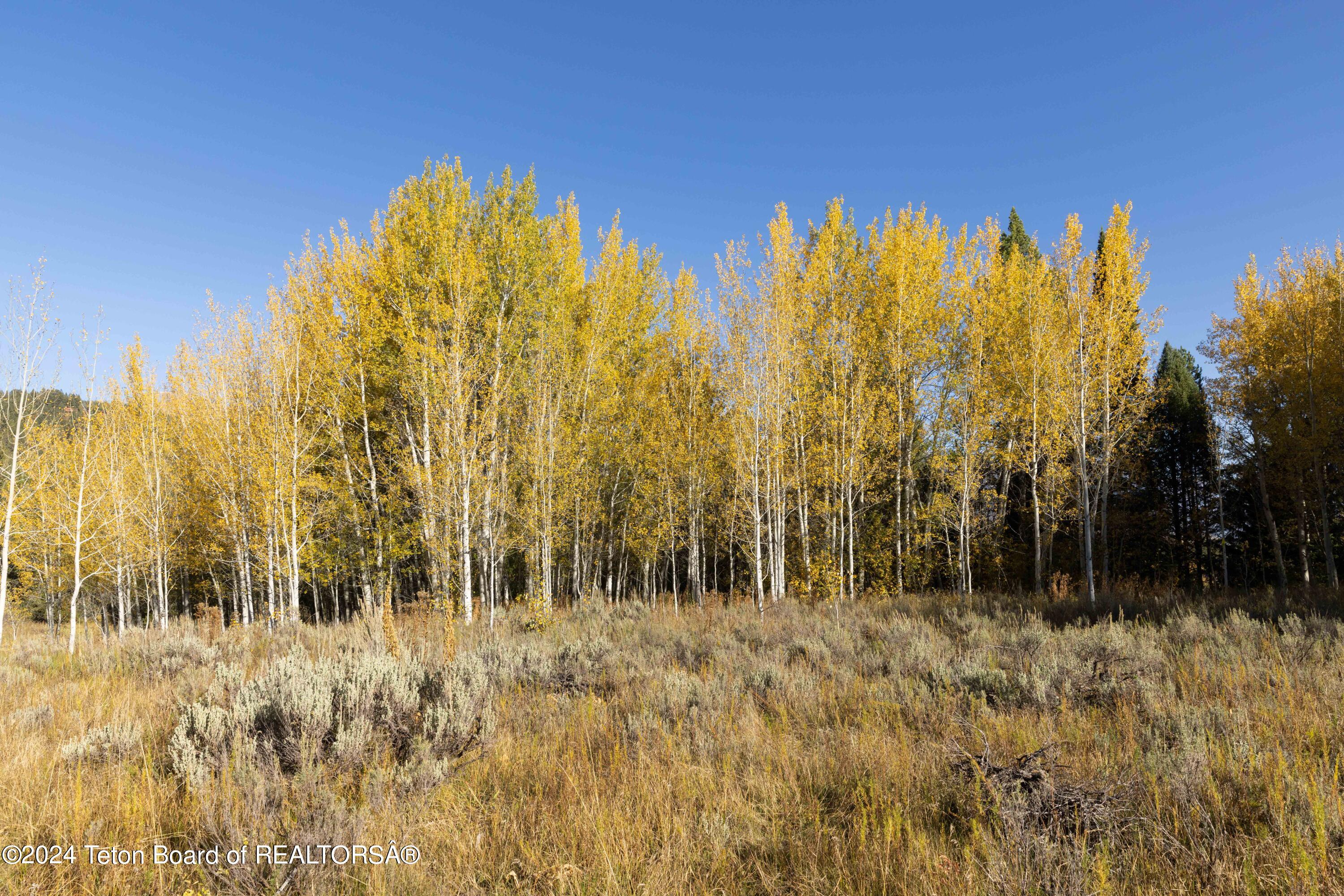 Wilson, Wyoming 83014, United States, ,Land,Active,40202