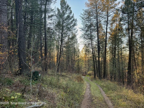 Photo of 185 W 12250, Tetonia, ID 83452 (MLS # 26-2631)