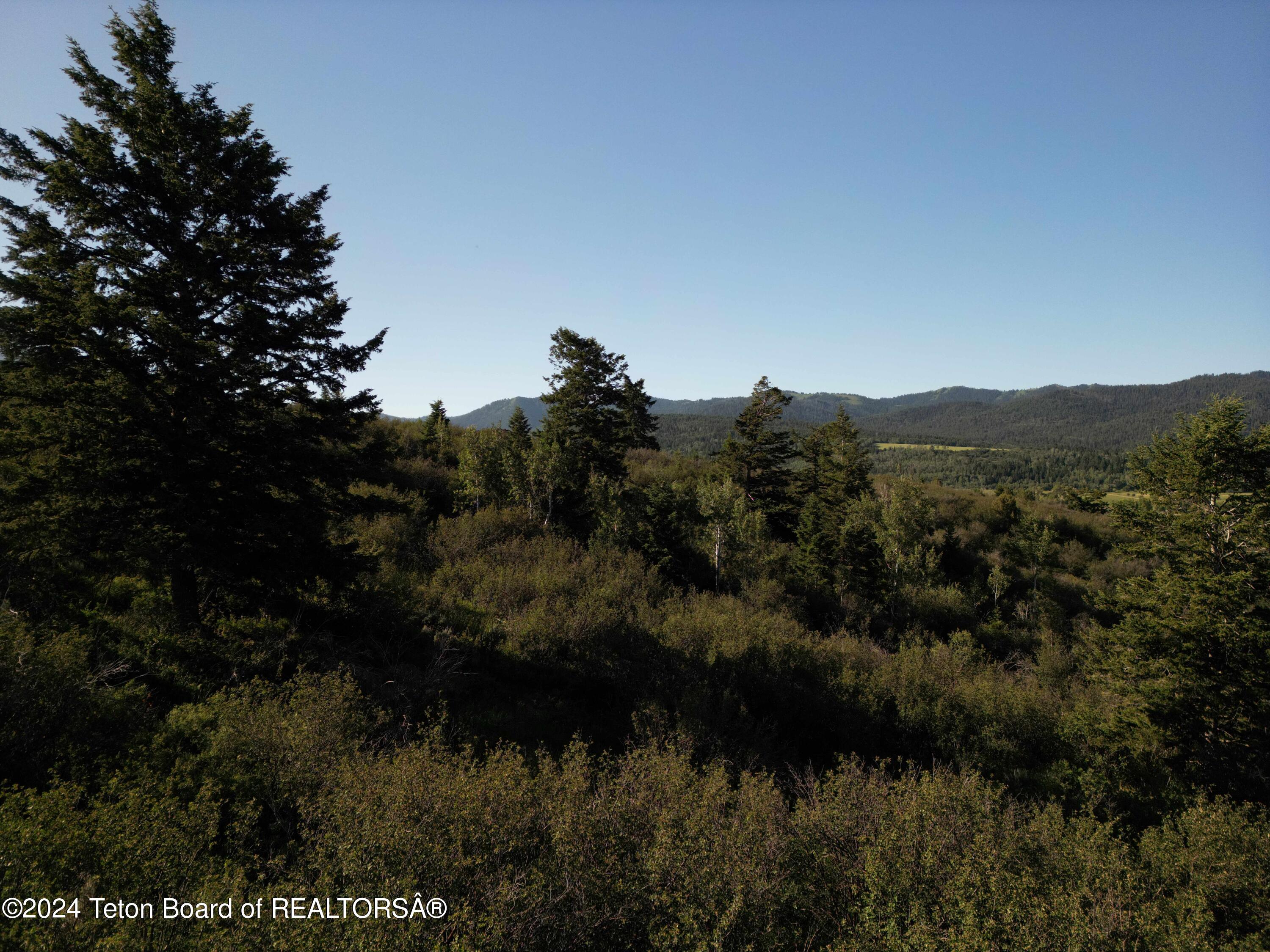 Victor, Idaho 83455, United States, ,Land,Active,45982