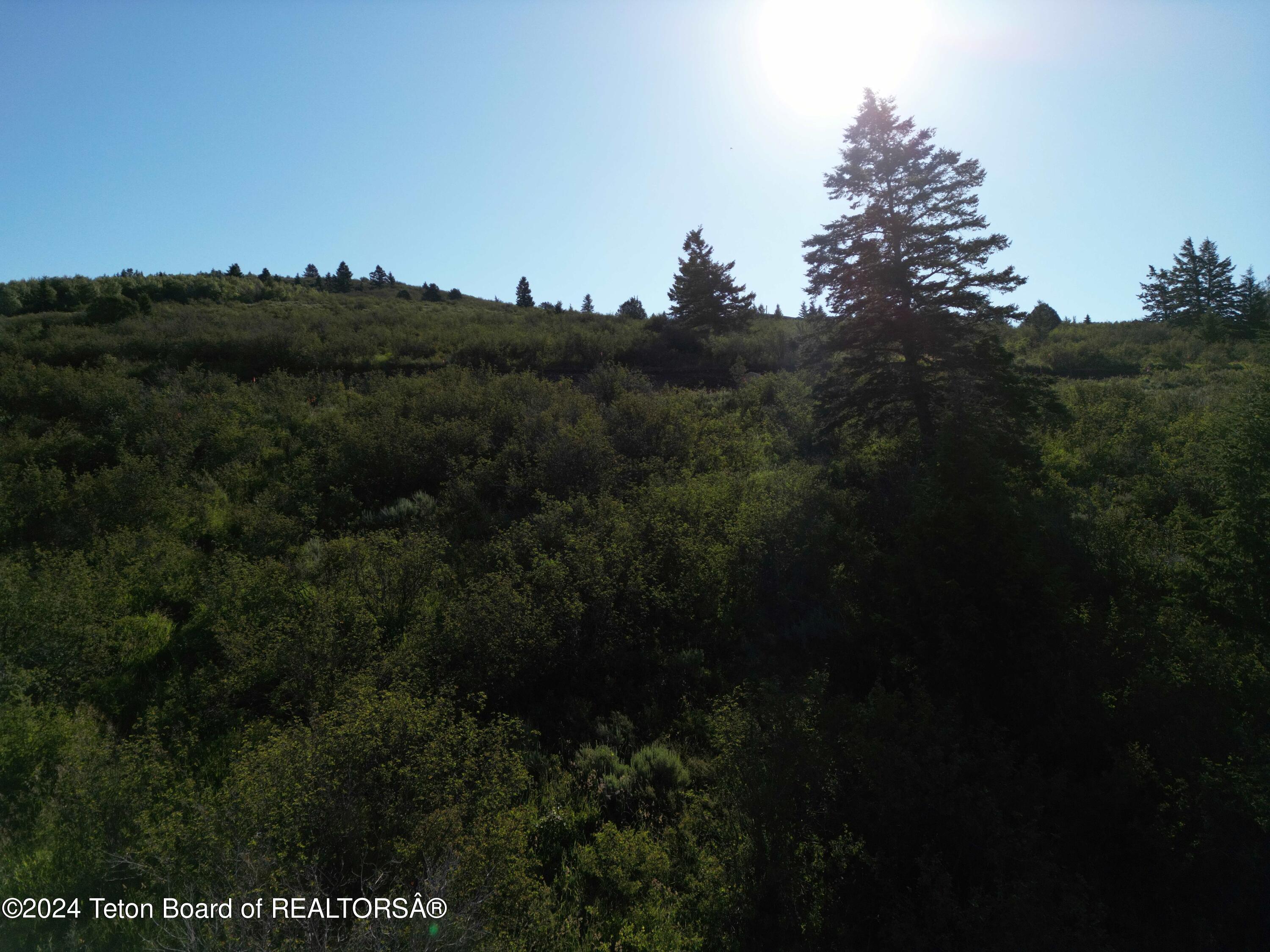 Victor, Idaho 83455, United States, ,Land,Active,45982