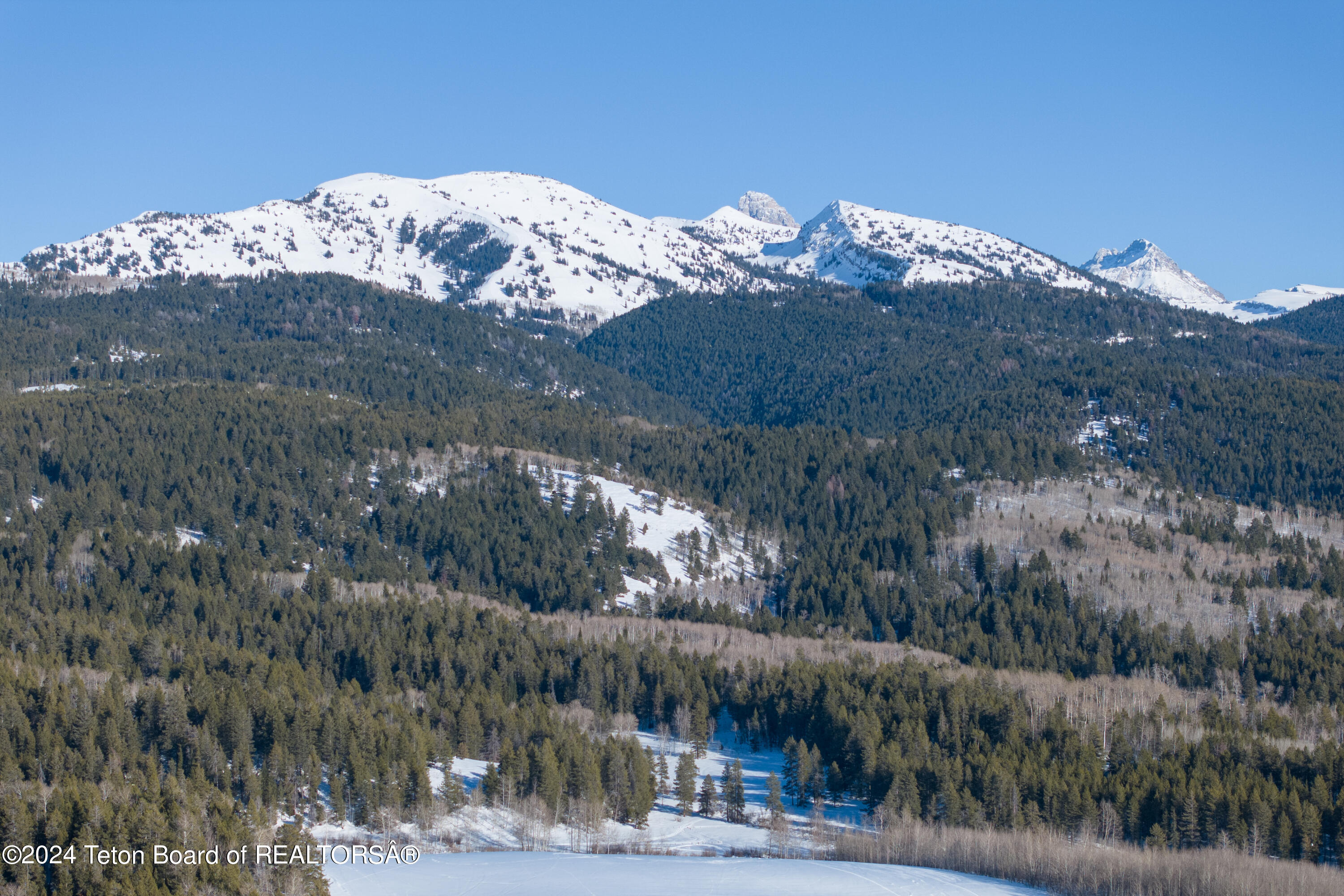 Alta, Wyoming 83414, United States, 6 Bedrooms Bedrooms, ,7 BathroomsBathrooms,Residential,Active,61781