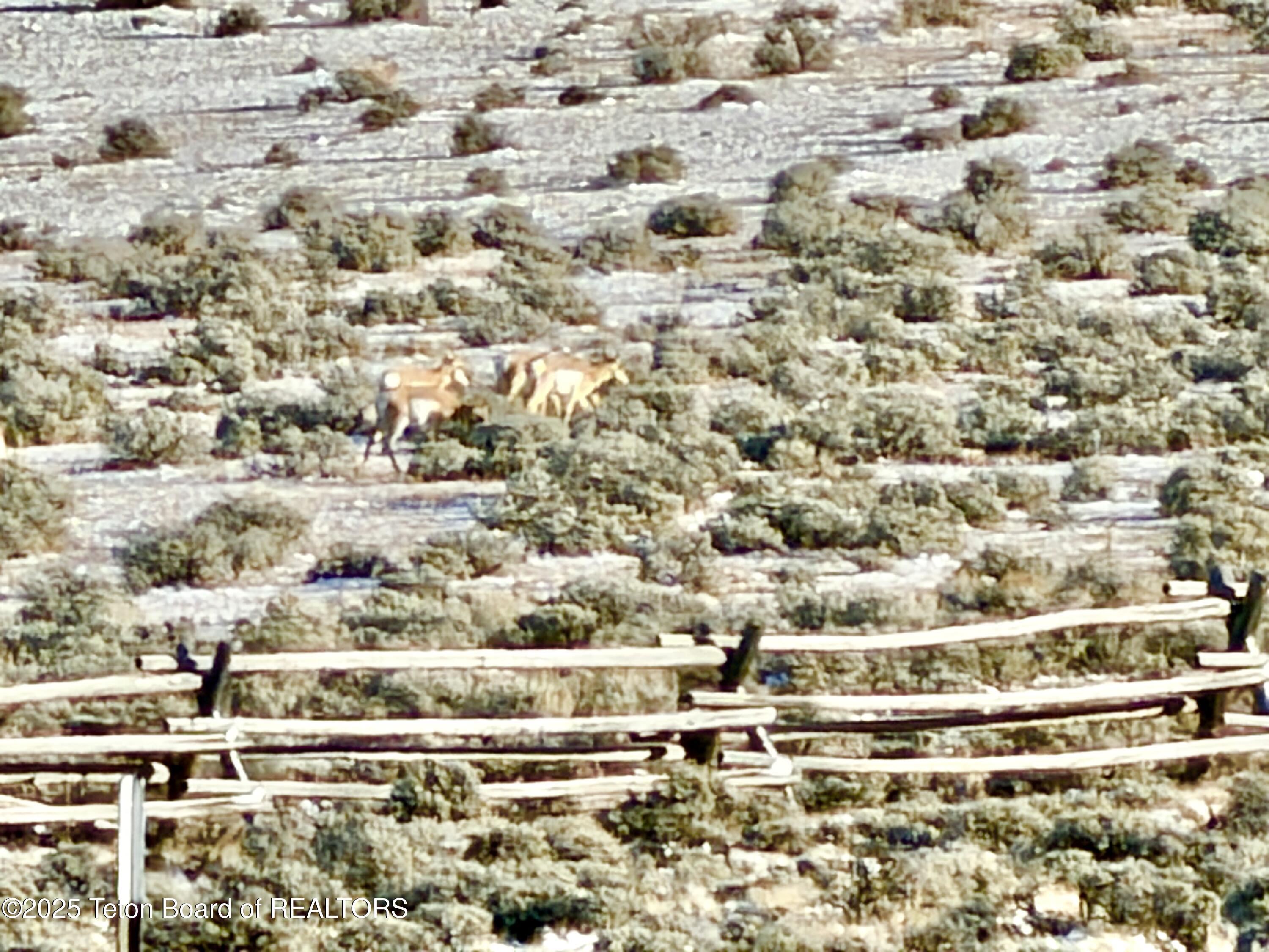 Dubois, Wyoming 82513, United States, ,Land,Active,241942