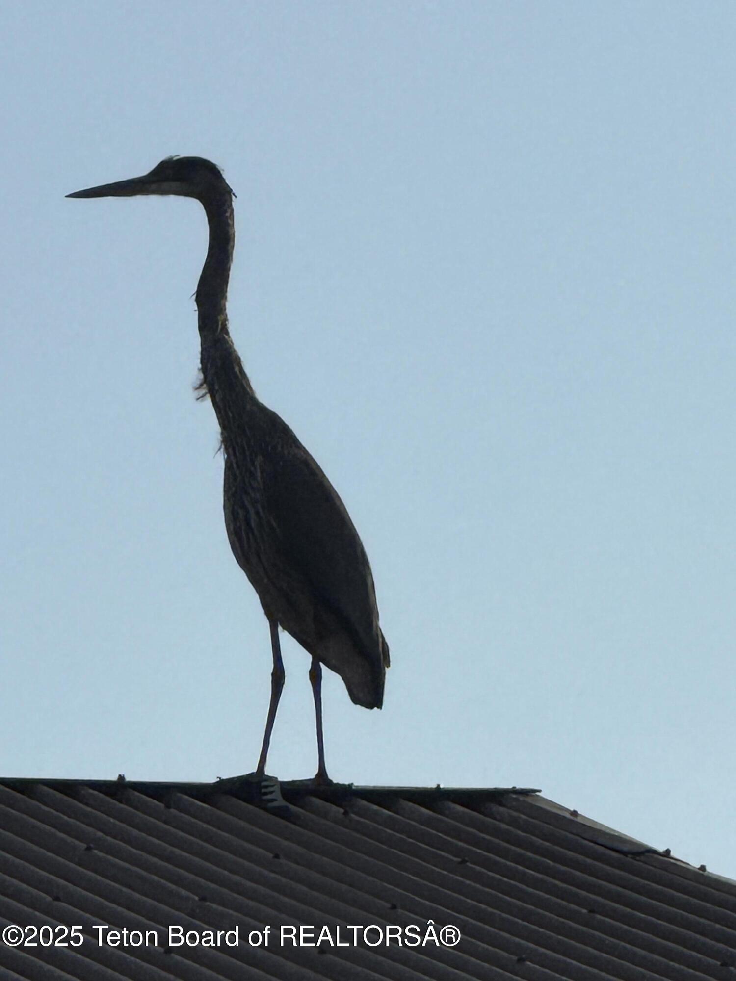 Auburn, Idaho 83111, United States, 5 Bedrooms Bedrooms, ,3 BathroomsBathrooms,Residential,Active,190364