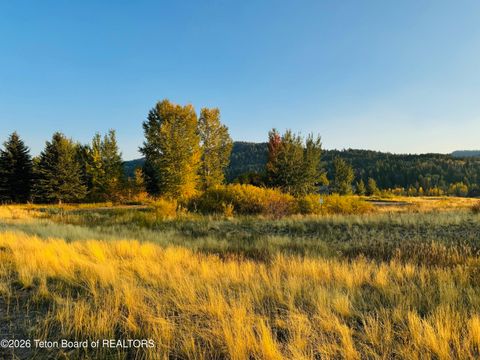 Photo of 54 Warm Lane, Victor, ID 83455 (MLS # 26-534)