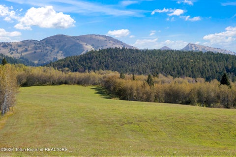 Photo of 245 E DRY CREEK Road, Alta, WY 83414 (MLS # 26-2588)