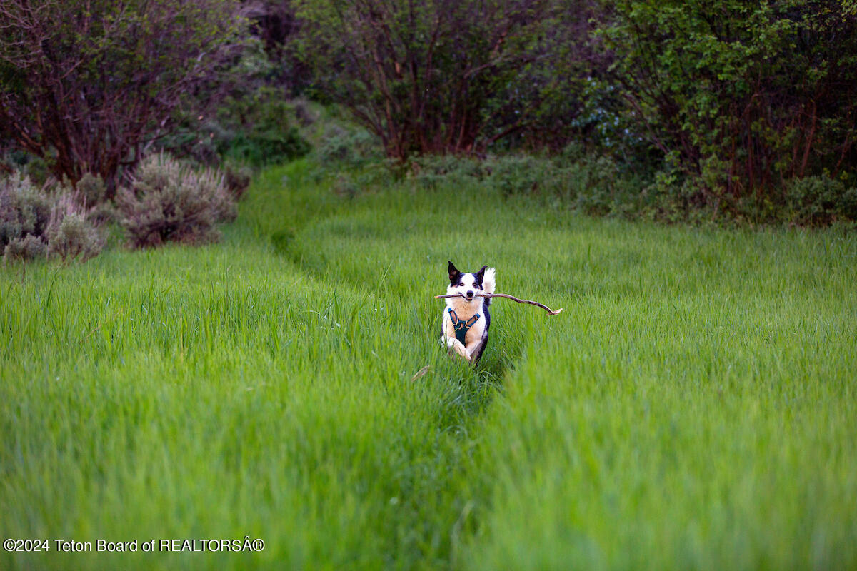 Victor, Idaho 83455, United States, ,Land,Active,53076