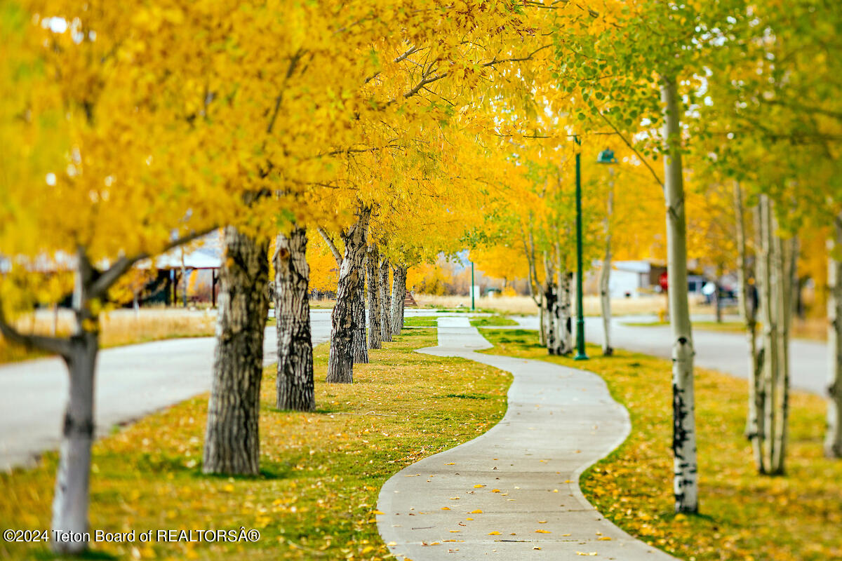 Victor, Idaho 83455, United States, ,Land,Active,53076