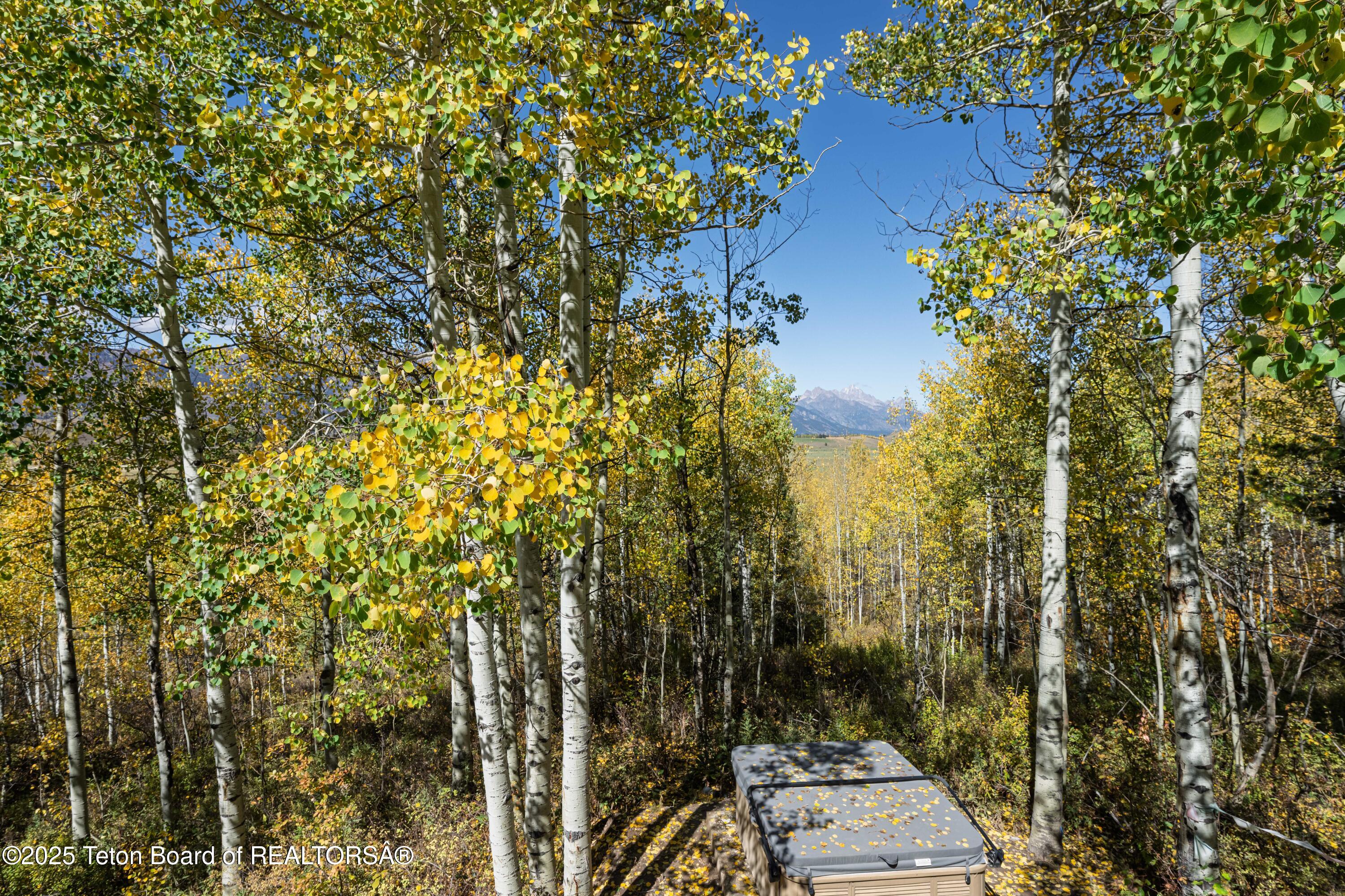 Jackson, Wyoming 83001, United States, 5 Bedrooms Bedrooms, ,3 BathroomsBathrooms,Residential,Active,198266