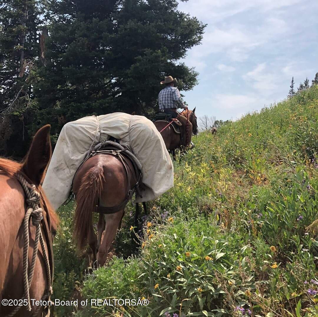 Daniel, Wyoming 83115, United States, ,4 BathroomsBathrooms,Residential,Active,166039