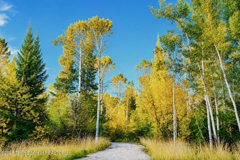 Photo of TBD S STATE LINE Road, Alta, WY 83414 (MLS # 26-1368)