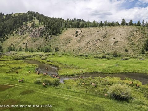 1000 Red Tail Butte Road, Jackson, WY 83001 - MLS#: 24-405