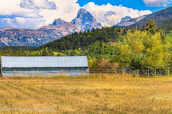 80 ALTA MEADOWS RD, ALTA, WY 83414 - Image aaa6c8c7b93ed039a362a3dea88e4207/3951198533