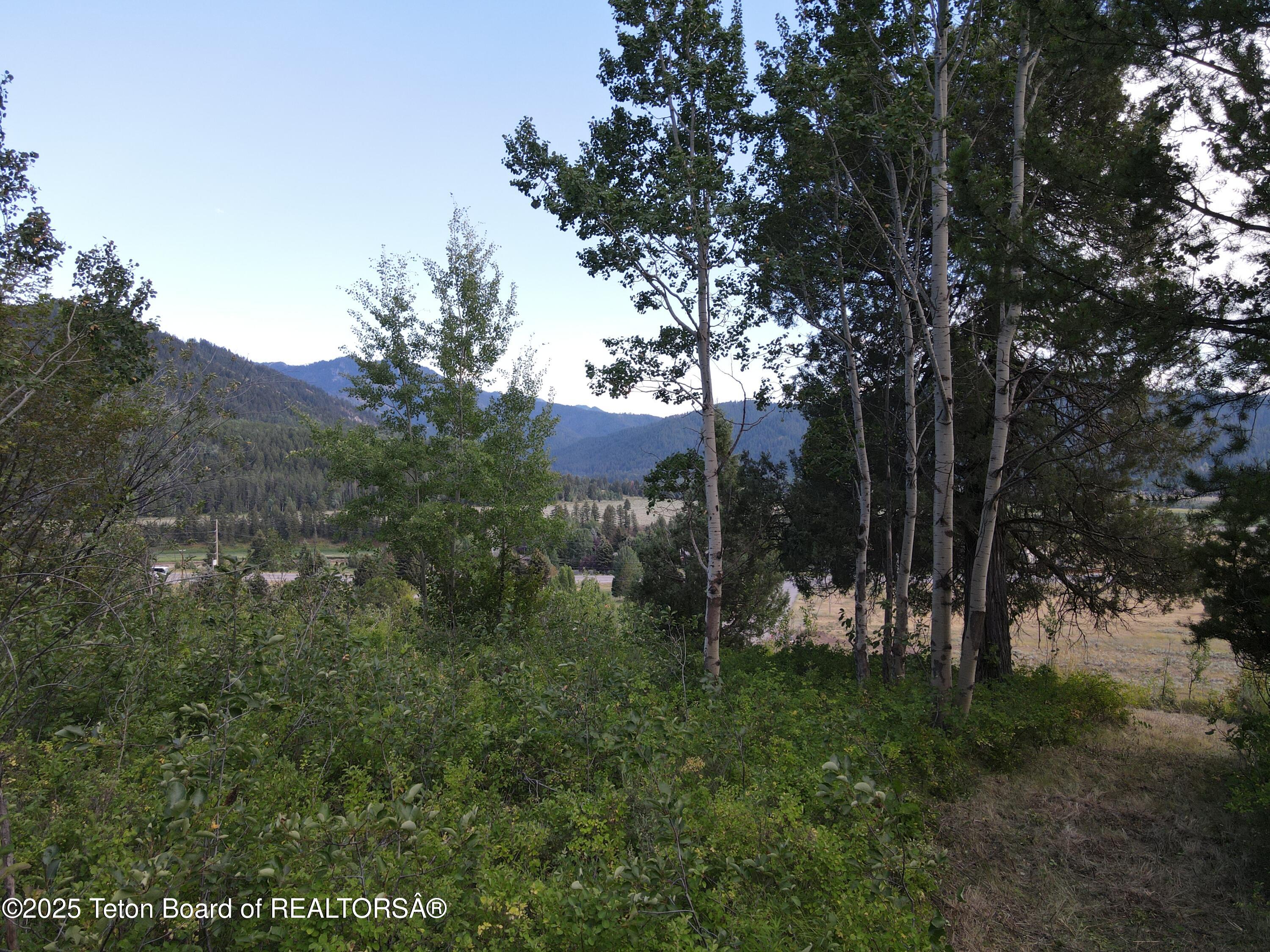 Alpine, Wyoming 83128, United States, ,Land,Active,57057