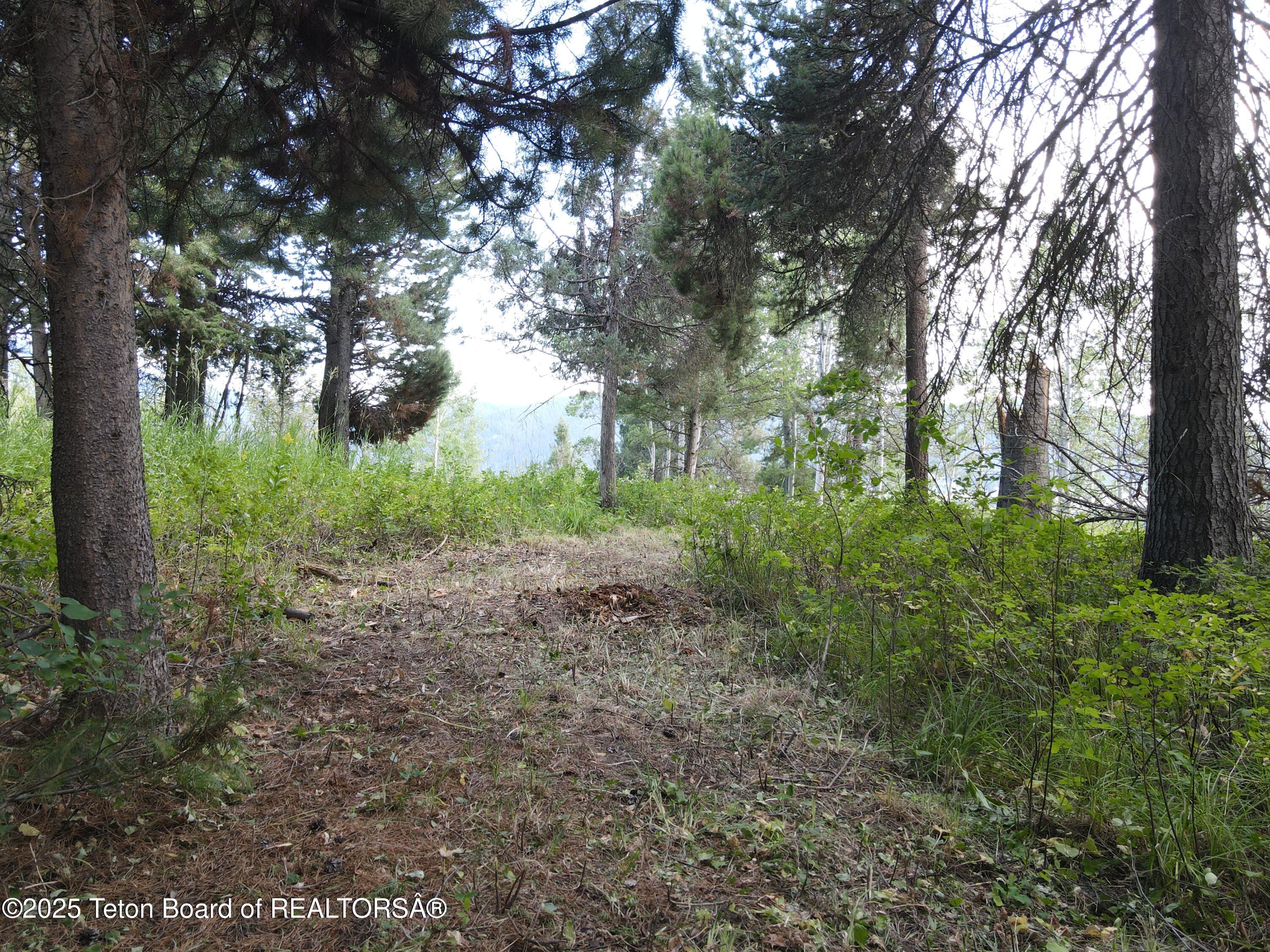 Alpine, Wyoming 83128, United States, ,Land,Active,57057