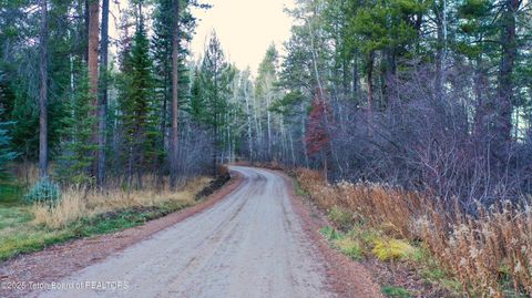 Photo of 4790 Huckleberry Drive, Victor, ID 83455 (MLS # 25-2791)