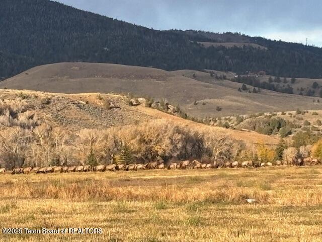 Dubois, Wyoming 82513, United States, ,Land,Active,241939