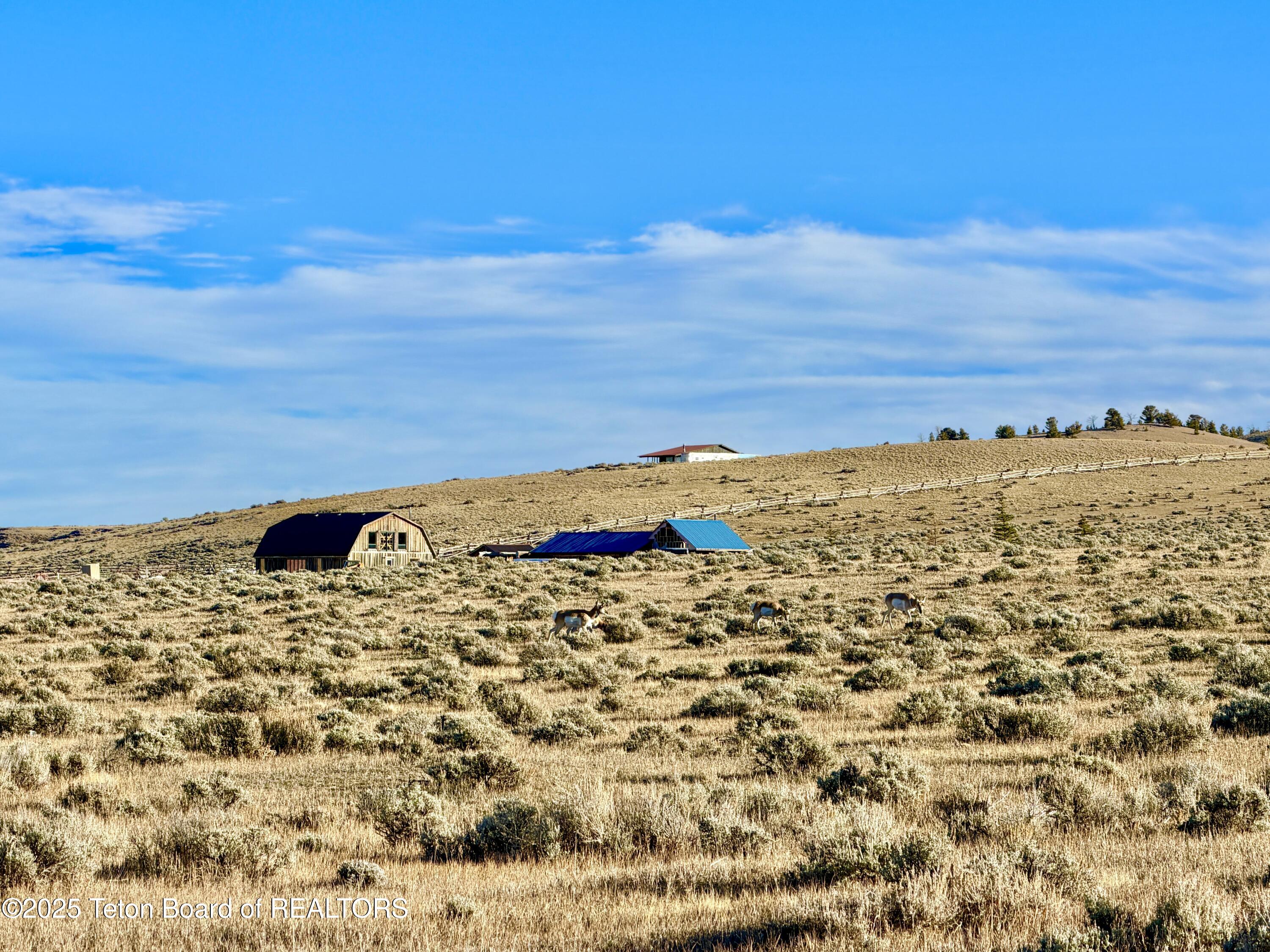 Dubois, Wyoming 82513, United States, ,Land,Active,241939