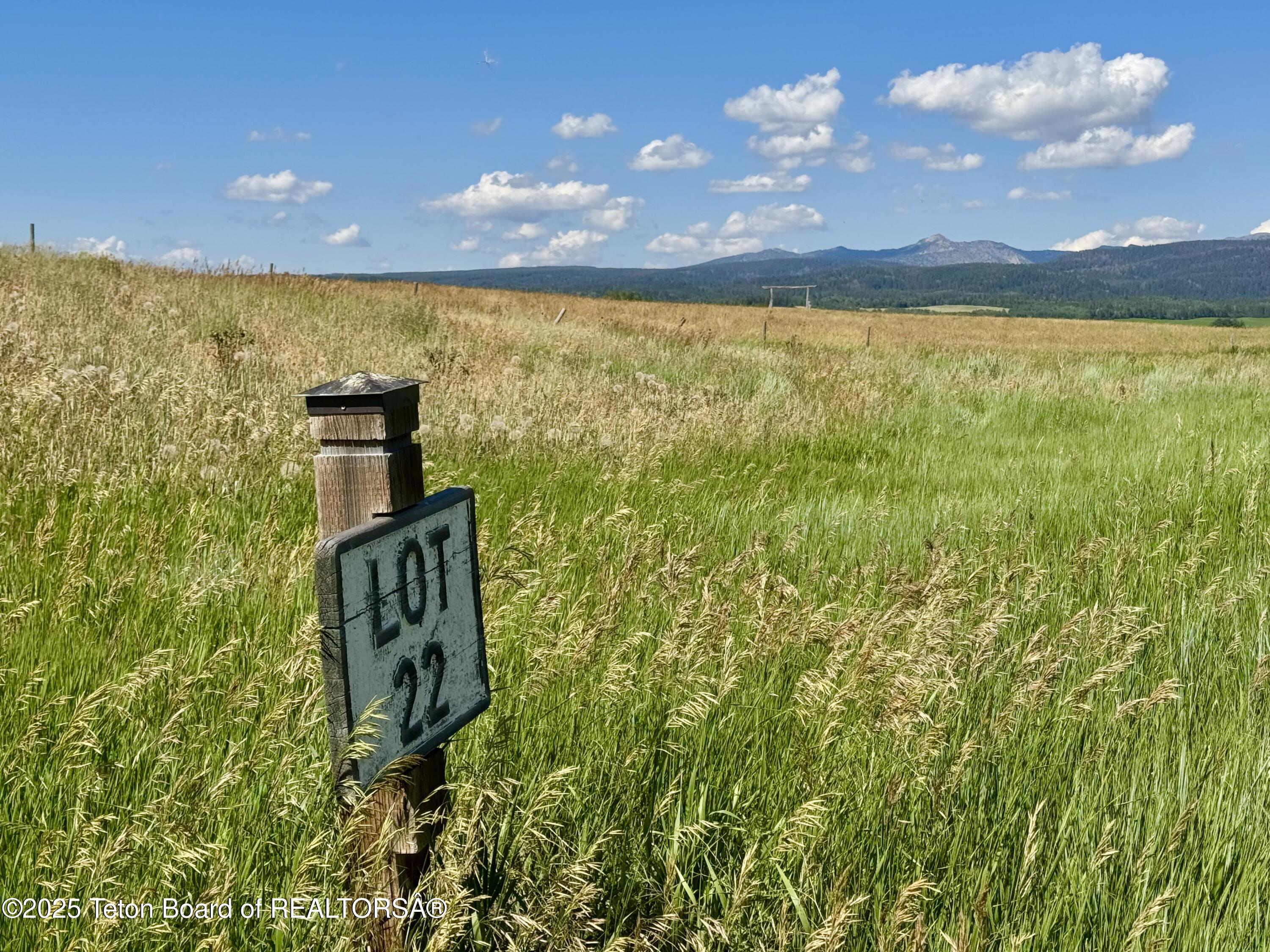 Driggs, Idaho 83422, United States, ,Land,Active,116592