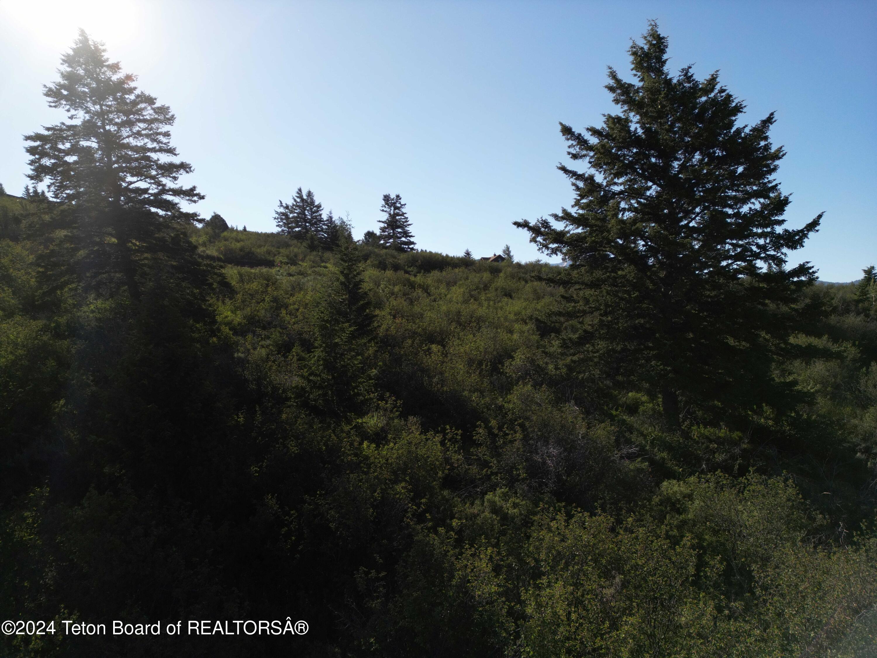 Victor, Idaho 83455, United States, ,Land,Active,42473