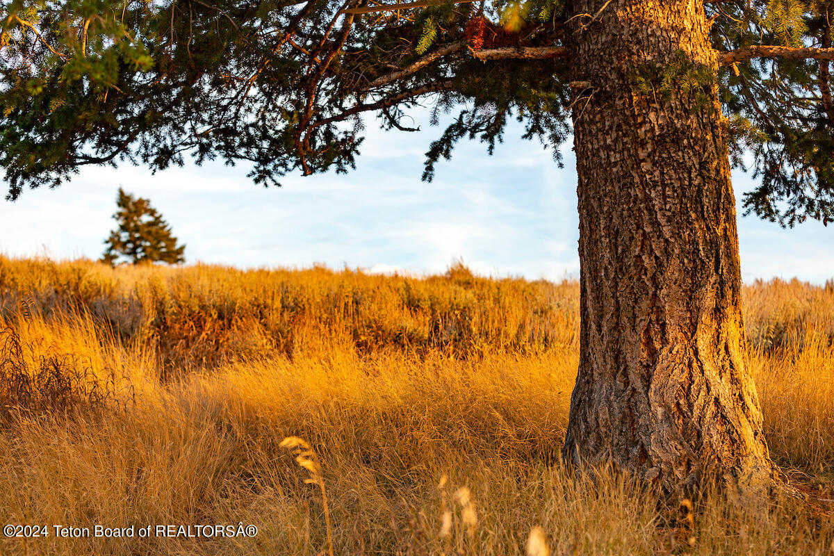 Victor, Idaho 83455, United States, ,Land,Active,42473