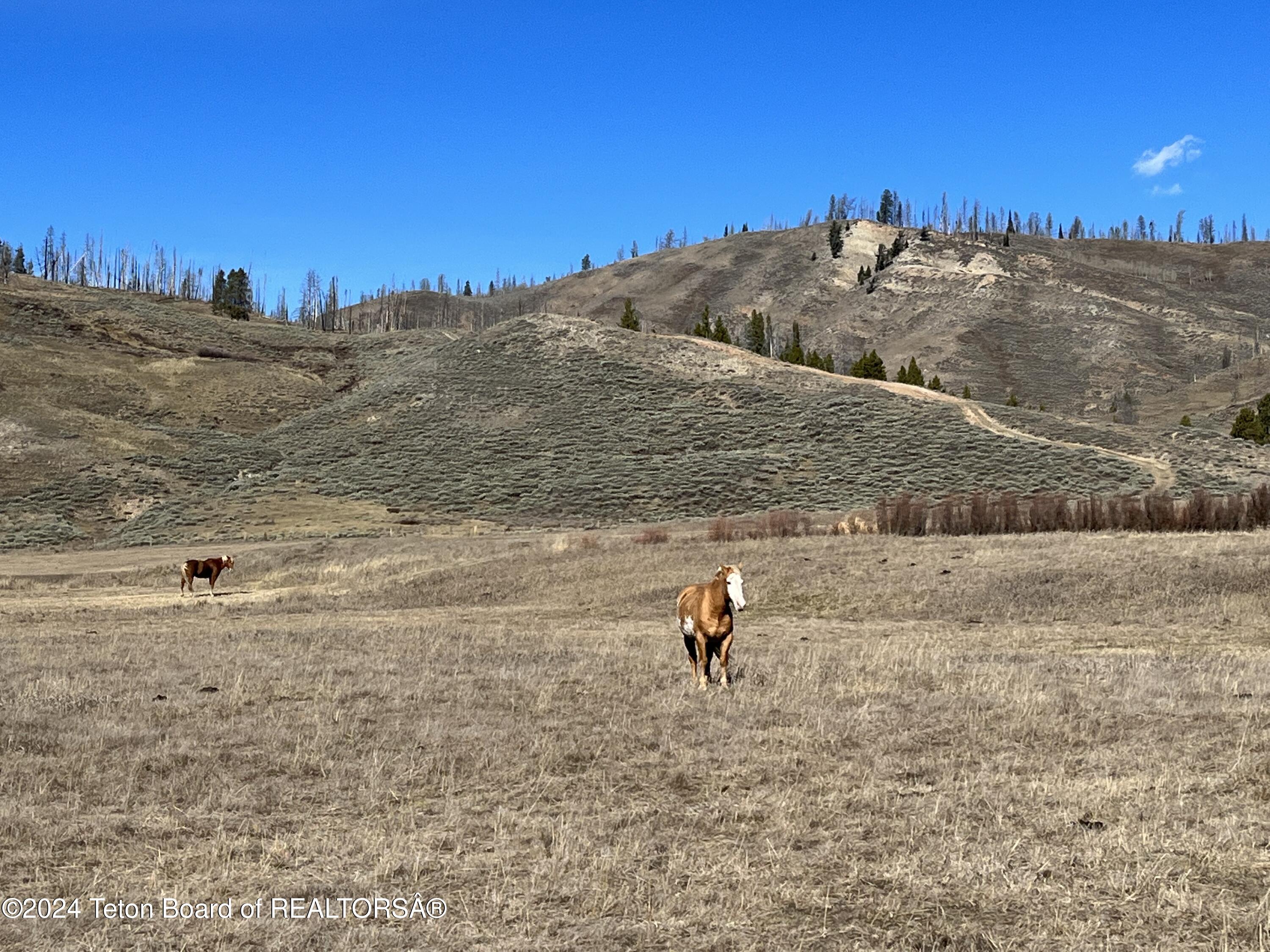 Bondurant, Wyoming 82922, United States, ,Land,Active,35247
