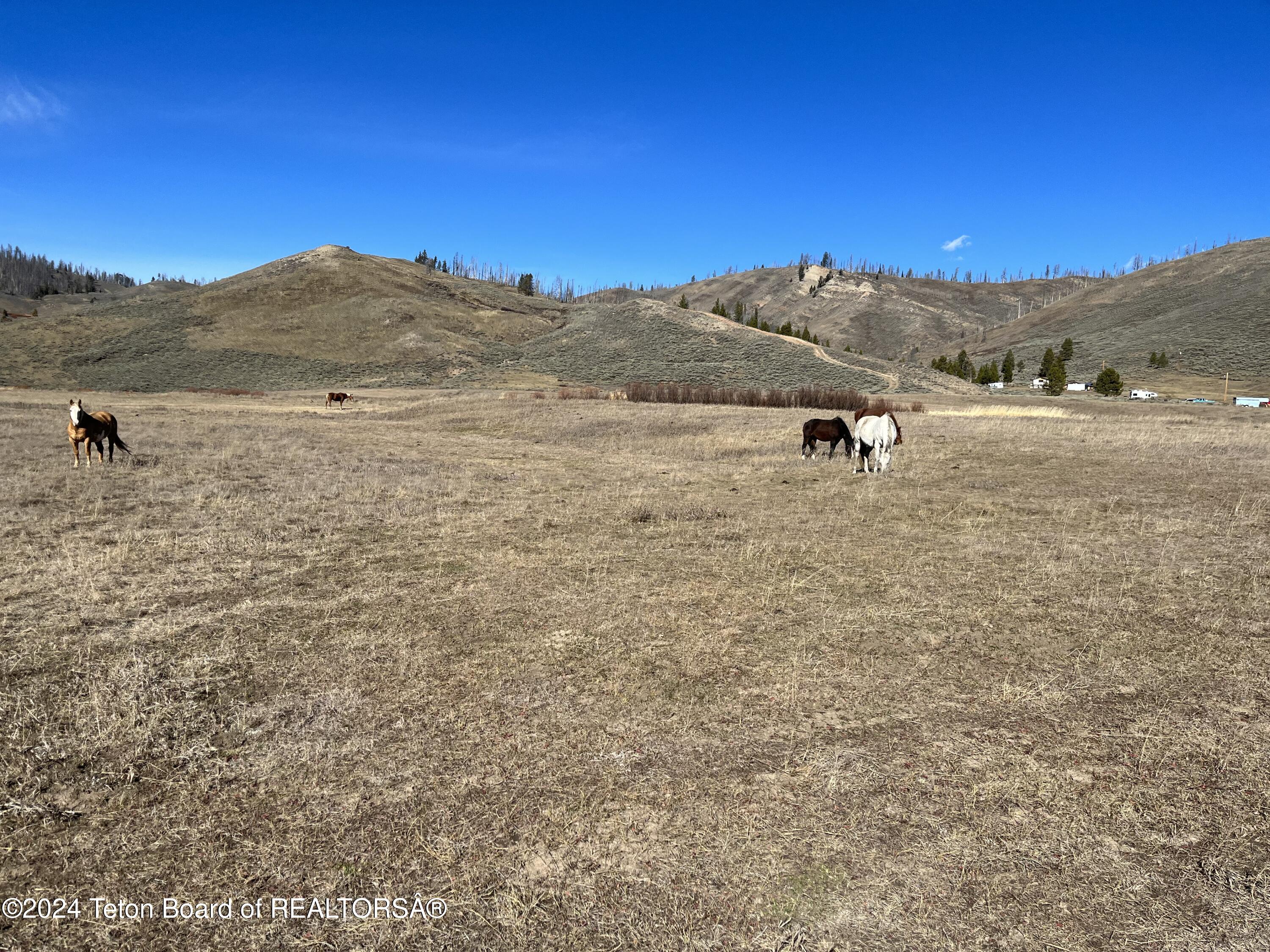 Bondurant, Wyoming 82922, United States, ,Land,Active,35247