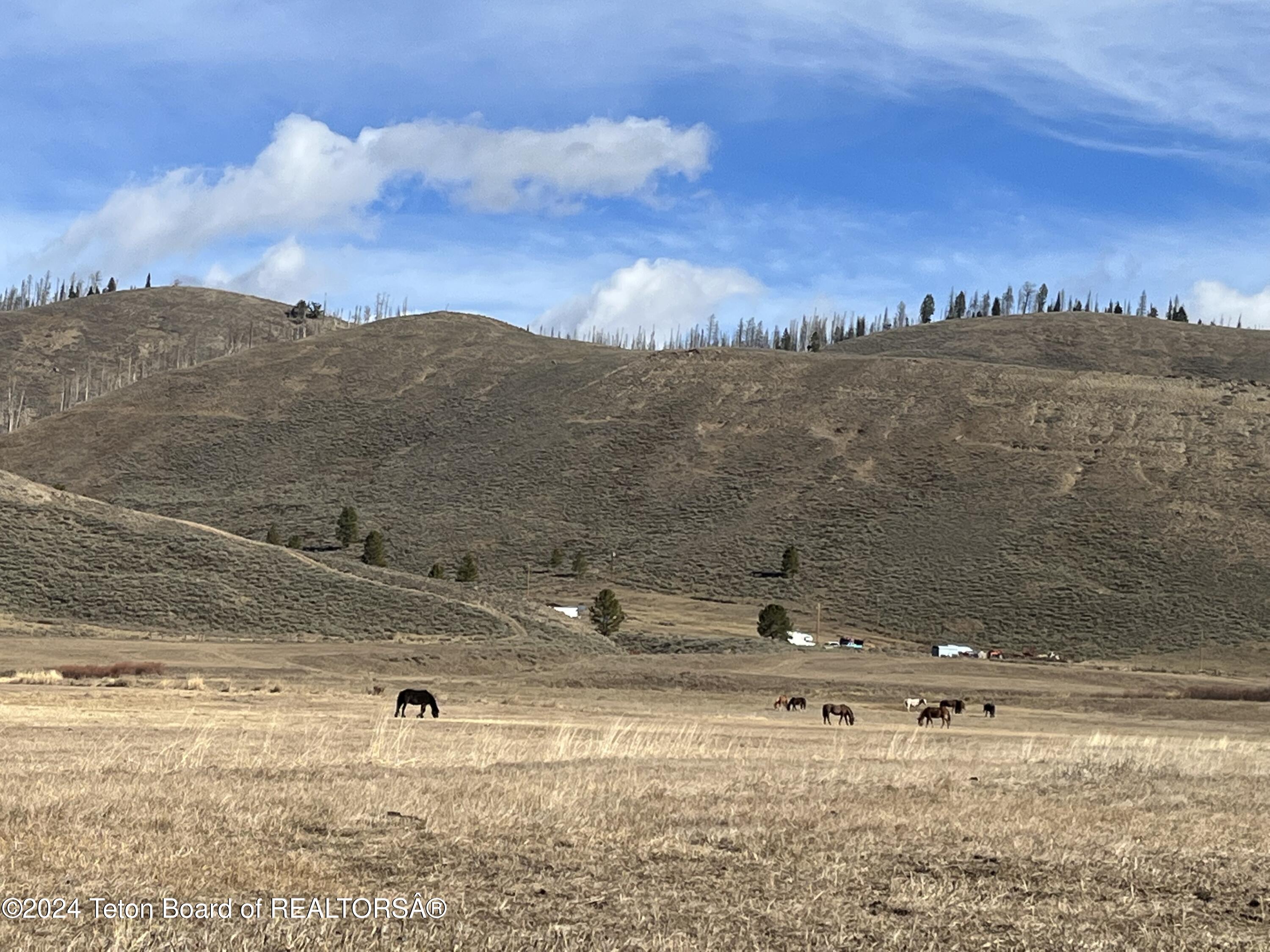 Bondurant, Wyoming 82922, United States, ,Land,Active,35247