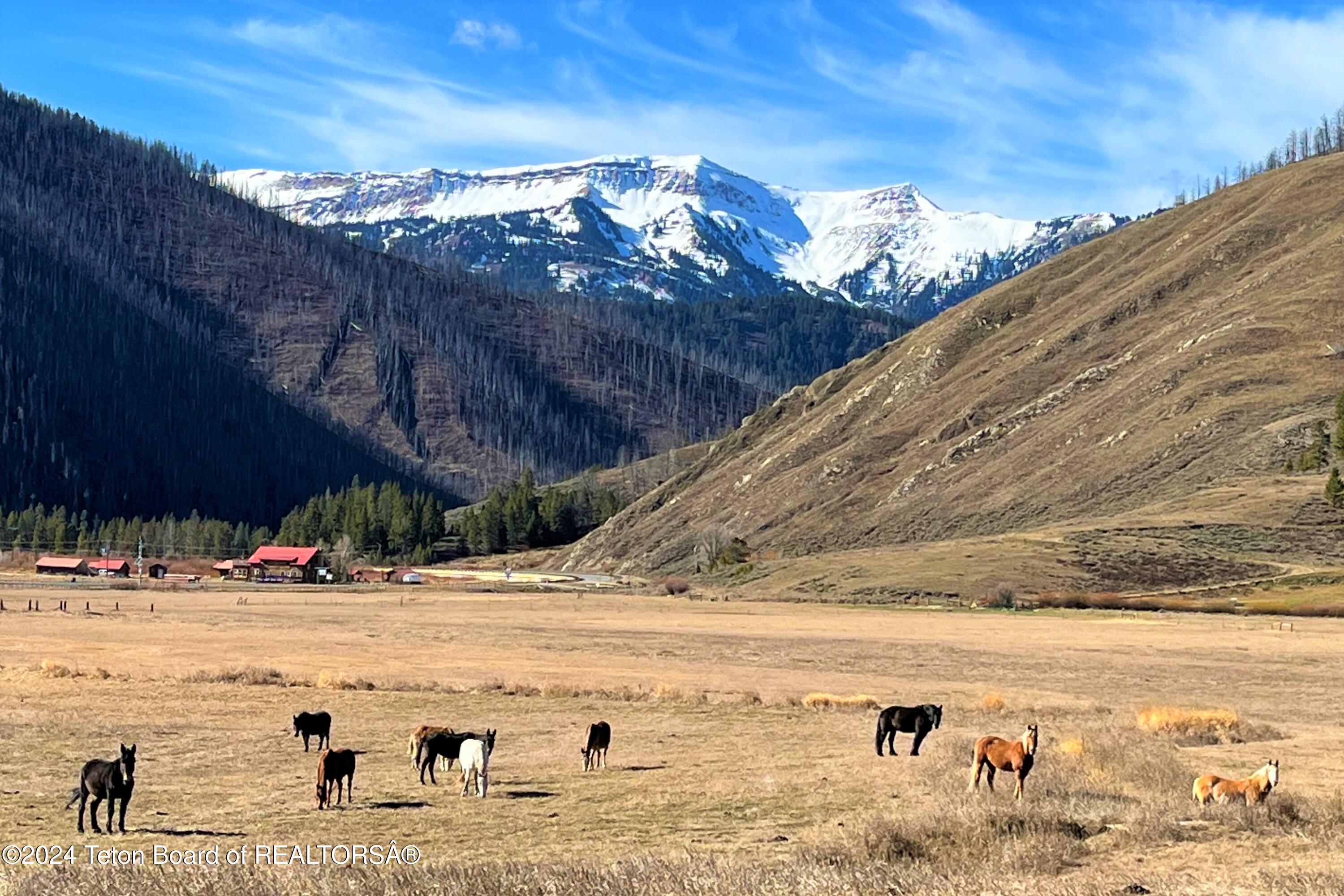 Bondurant, Wyoming 82922, United States, ,Land,Active,35247