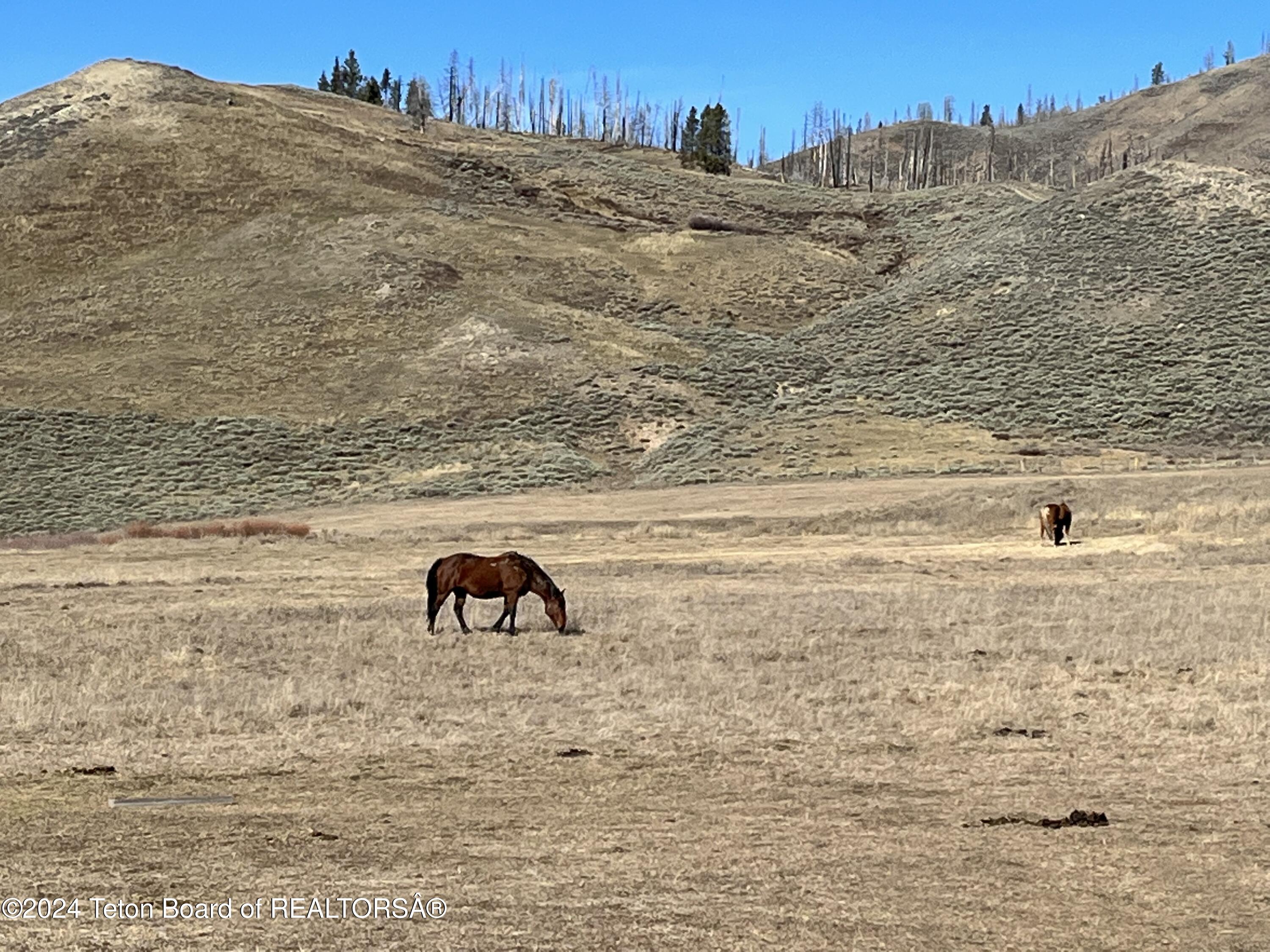 Bondurant, Wyoming 82922, United States, ,Land,Active,35247