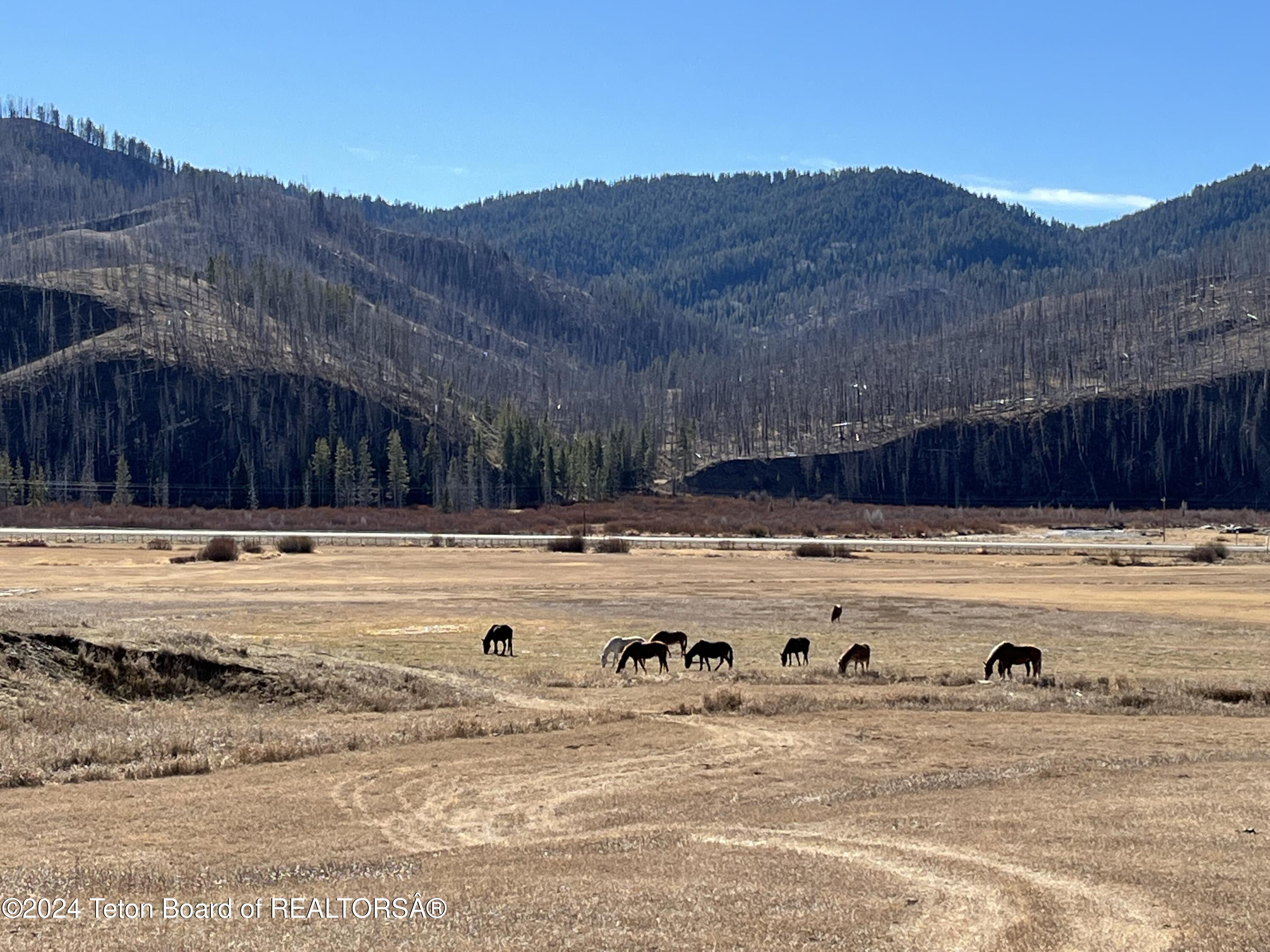 Bondurant, Wyoming 82922, United States, ,Land,Active,35247