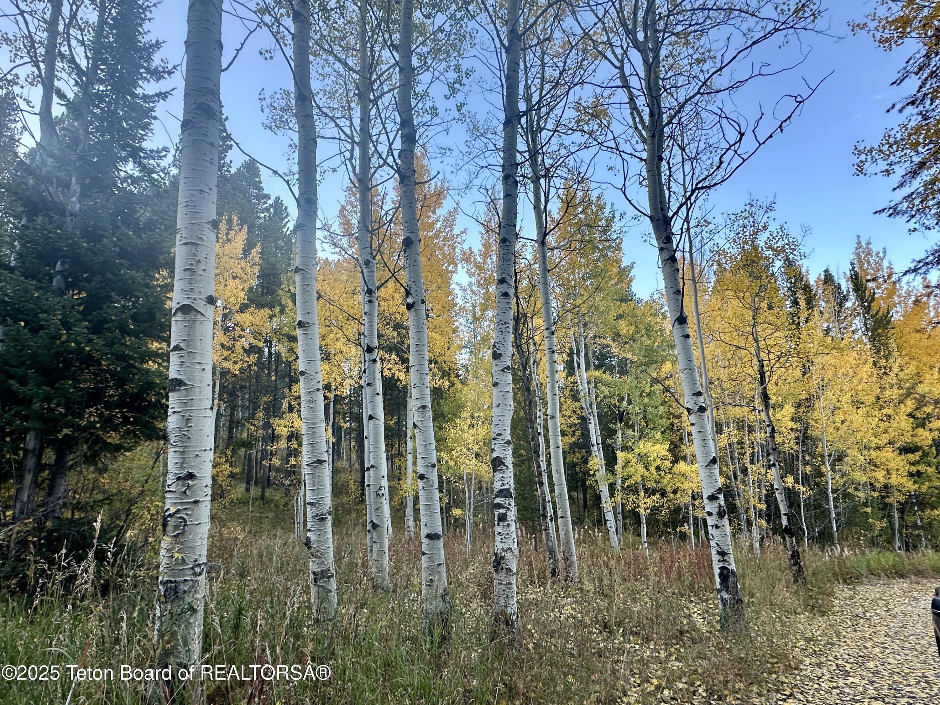 Wilson, Wyoming 83014, United States, 3 Bedrooms Bedrooms, ,2 BathroomsBathrooms,Residential,Active,226611