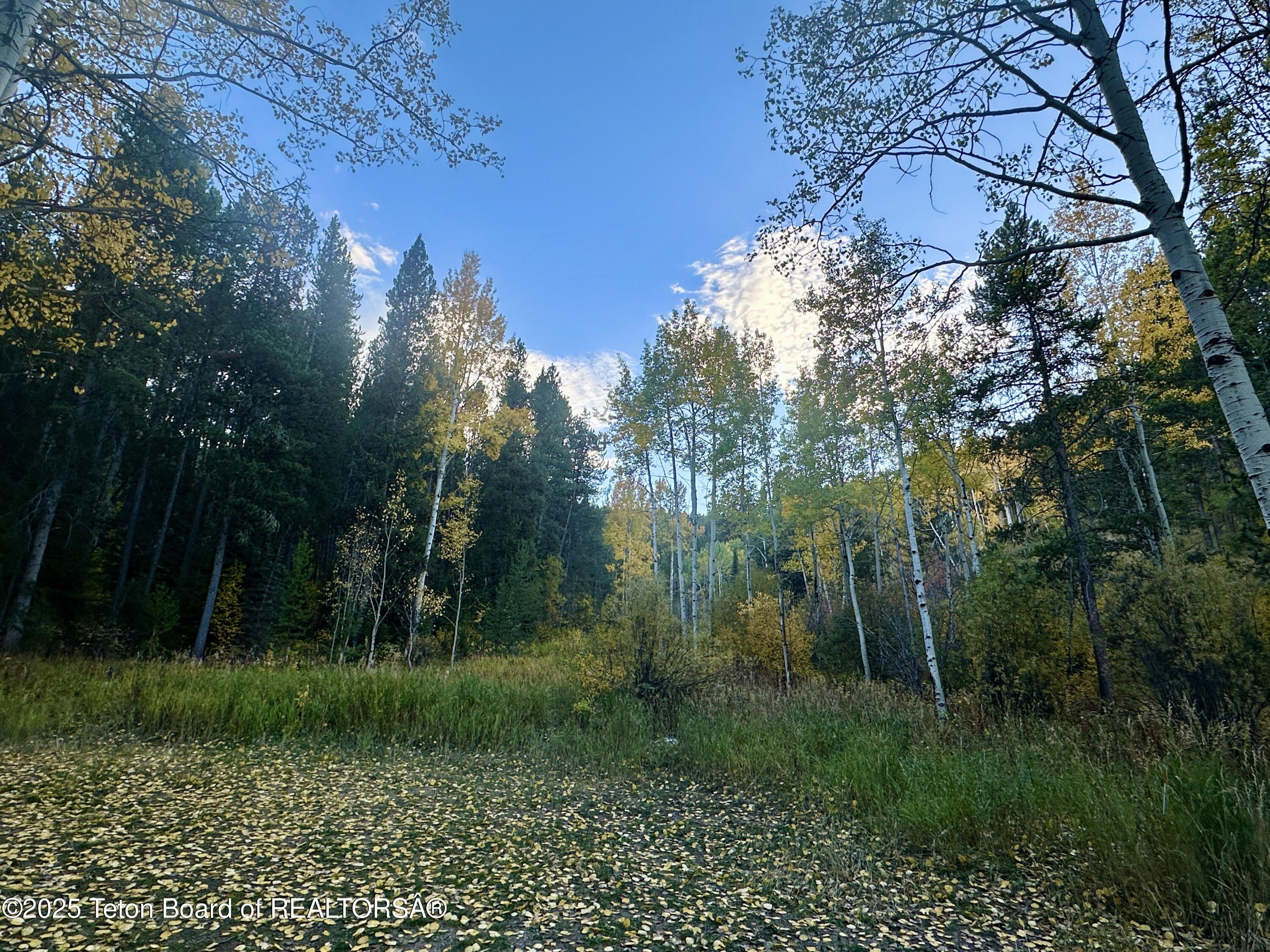 Wilson, Wyoming 83014, United States, 3 Bedrooms Bedrooms, ,2 BathroomsBathrooms,Residential,Active,226611