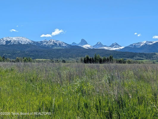2455 SNOW CREST RANCH DR, DRIGGS, ID 83422 - Image f593994e56258a8a6eae8a581c47830b/859809426