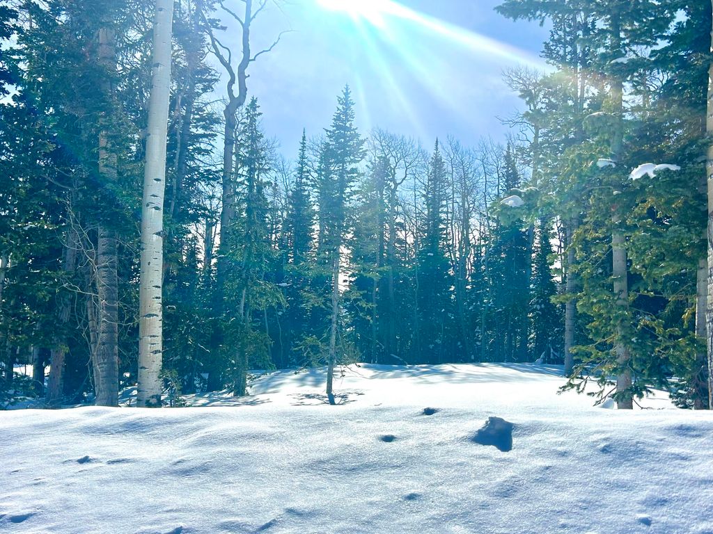 Photo of Lot 71, Trails at Navajo, Brian Head, UT 84719 (MLS # 110518)