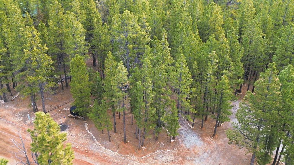 Photo of 1170 N Ponderosa DR, Duck Creek Village, UT 84762 (MLS # 116219)