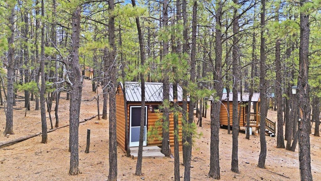 Photo of 1170 N Ponderosa DR, Duck Creek Village, UT 84762 (MLS # 116219)